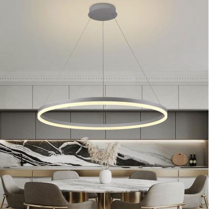 Brilagi - LED Zatemnitveni lestenec na vrvici CIRCLE LED/55W/230V 3000-6500K srebrna + Daljinski upravljalnik