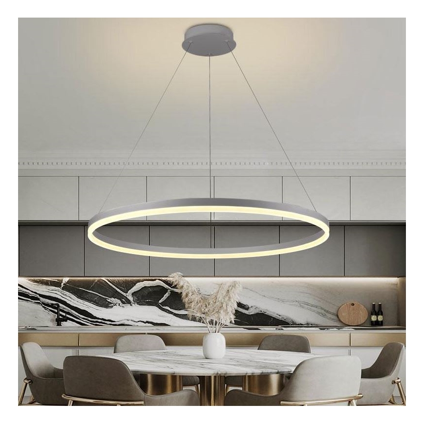 Brilagi - LED Zatemnitveni lestenec na vrvici CIRCLE LED/55W/230V 3000-6500K srebrna + Daljinski upravljalnik