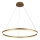 Brilagi - LED Zatemnitveni lestenec na vrvici CIRCLE LED/55W/230V 3000-6500K zlata + Daljinski upravljalnik