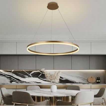 Brilagi - LED Zatemnitveni lestenec na vrvici CIRCLE LED/55W/230V 3000-6500K zlata + Daljinski upravljalnik