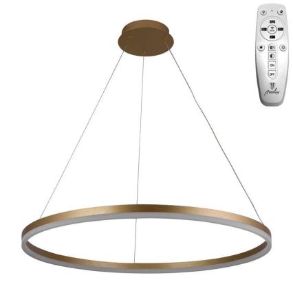 Brilagi - LED Zatemnitveni lestenec na vrvici CIRCLE LED/55W/230V 3000-6500K zlata + Daljinski upravljalnik