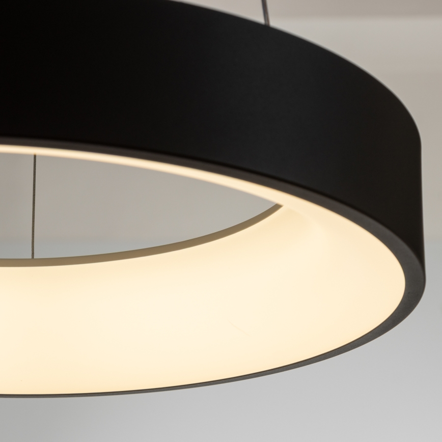 Brilagi - LED Zatemnitveni lestenec na vrvici FALCON LED/80W/230V 3000-6500K pr. 60 cm črna + Daljinski upravljalnik
