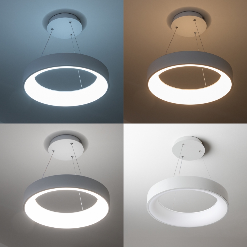 Brilagi - LED Zatemnitveni lestenec na vrvici FALCON LED/40W/230V 3000-6500K bel + Daljinski upravljalnik