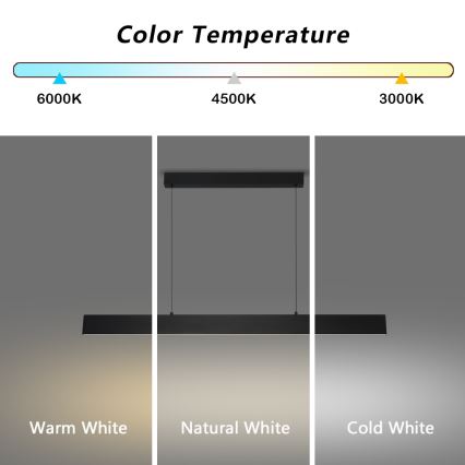 Brilagi - LED Zatemnitveni lestenec na vrvici SLIMLINE LED/40W/230V 3000-6000K črna + Daljinski upravljalnik