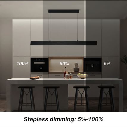 Brilagi - LED Zatemnitveni lestenec na vrvici SLIMLINE LED/40W/230V 3000-6000K črna + Daljinski upravljalnik
