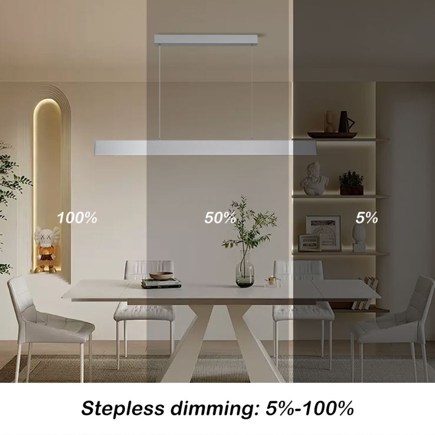 Brilagi - LED Zatemnitveni lestenec na vrvici SLIMLINE LED/40W/230V 3000-6000K srebrna + Daljinski upravljalnik