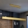 Brilagi - LED Zatemnitveni lestenec na vrvici SLIMLINE LED/40W/230V 3000-6000K zlata + Daljinski upravljalnik