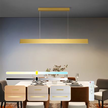 Brilagi - LED Zatemnitveni lestenec na vrvici SLIMLINE LED/40W/230V 3000-6000K zlata + Daljinski upravljalnik