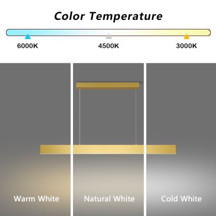 Brilagi - LED Zatemnitveni lestenec na vrvici SLIMLINE LED/40W/230V 3000-6000K zlata + Daljinski upravljalnik