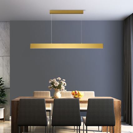 Brilagi - LED Zatemnitveni lestenec na vrvici SLIMLINE LED/40W/230V 3000-6000K zlata + Daljinski upravljalnik