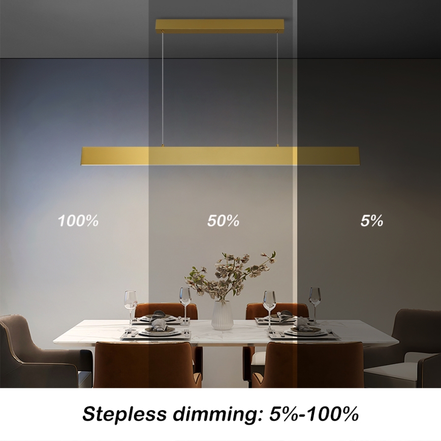 Brilagi - LED Zatemnitveni lestenec na vrvici SLIMLINE LED/40W/230V 3000-6000K zlata + Daljinski upravljalnik