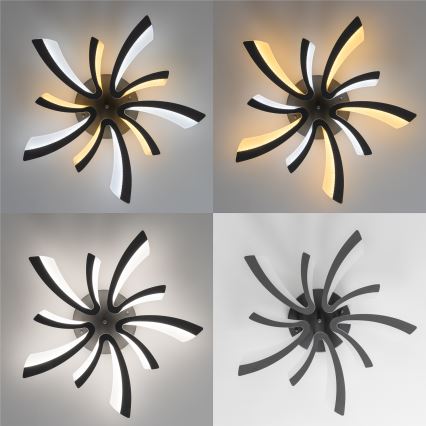 Brilagi - LED Zatemnitveni nadgradni lestenec TWIST LED/55W/230V 3000-6500K antracit + Daljinski upravljalnik