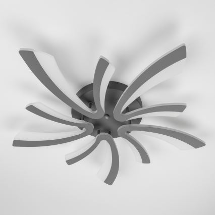 Brilagi - LED Zatemnitveni nadgradni lestenec TWIST LED/55W/230V 3000-6500K antracit + Daljinski upravljalnik