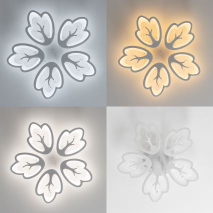 Brilagi - LED Zatemnitveni nadgradni lestenec TWIST LED/80W/230V 3000-6500K bela + Daljinski upravljalnik