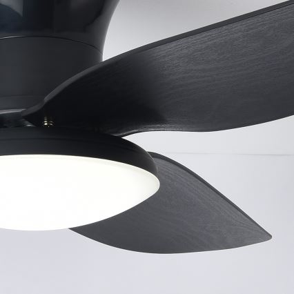 Brilagi - LED Zatemnitveni stropni ventilator LED/30W/230V 3000-6500K črna + Daljinski upravljalnik
