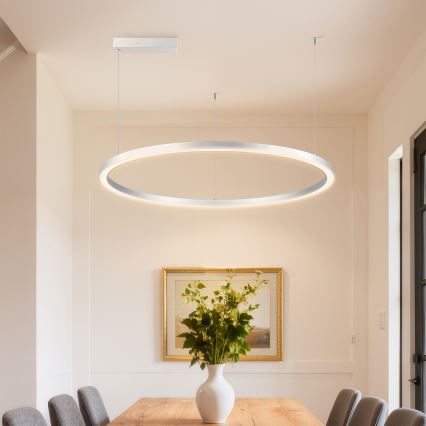 Brilagi - LED lestenec z možnostjo zatemnitve na kablu PORTOFINO LED/60W/230V 3000-6000K premer 80 cm srebrna + daljinski upravljalnik