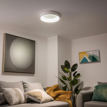 Brilagi - LED stropna svetilka FALCON z zatemnjevanjem LED/40W/230V 3000-6500K, premer 45 cm, bela + daljinski upravljalnik