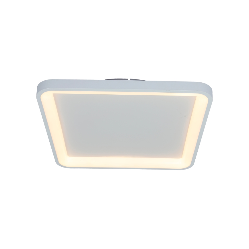 Brilagi - Zatemnljivo LED stropno svetilo FALCON SLIM LED/50W/230V 3000-6500K 50x50 cm belo + daljinski upravljalnik