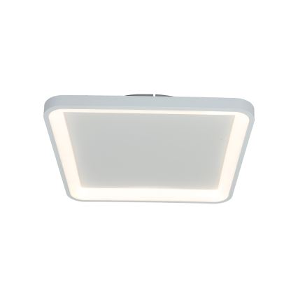 Brilagi - Zatemnljivo LED stropno svetilo FALCON SLIM LED/50W/230V 3000-6500K 50x50 cm belo + daljinski upravljalnik