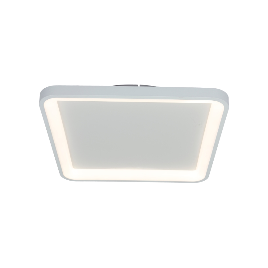 Brilagi - Zatemnljivo LED stropno svetilo FALCON SLIM LED/50W/230V 3000-6500K 50x50 cm belo + daljinski upravljalnik
