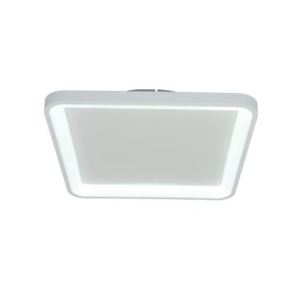 Brilagi - Zatemnljivo LED stropno svetilo FALCON SLIM LED/50W/230V 3000-6500K 50x50 cm belo + daljinski upravljalnik