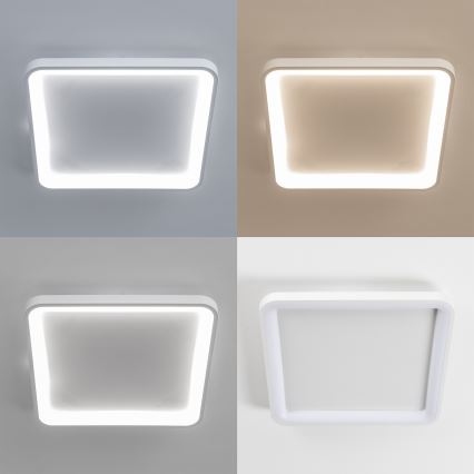 Brilagi - Zatemnljivo LED stropno svetilo FALCON SLIM LED/50W/230V 3000-6500K 50x50 cm belo + daljinski upravljalnik