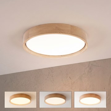 Brilagi - LED zatemnjevalna stropna svetilka MANAROLA REMOTE LED/24W/230V 3000–6500 K premer 41 cm hrast + daljinski upravljalnik