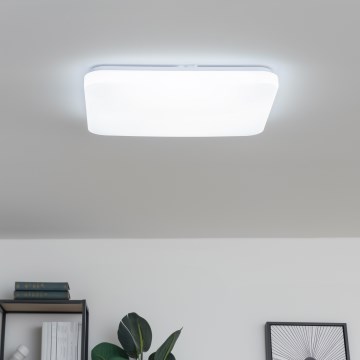 Brilagi - LED zatemnjevalna stropna svetilka PINE LED/60W/230V premer 52 cm 3000-6500K + daljinski upravljalnik