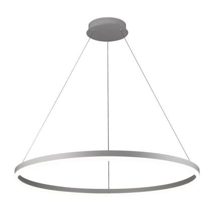 Brilagi - LED zatemljiv viseči lestenec na kablu CIRCLE LED/55W/230V 3000-6500K, premer 80 cm, srebrna + z daljinskim upravljalnikom