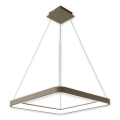 BRILAGI - LED zatemnjevalni lestenec na kablu FALCON SLIM LED/50W/230V 3000-6500K 50x50 cm bež + daljinski upravljalnik