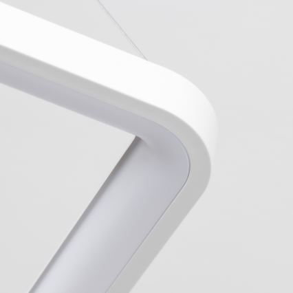 Brilagi - LED lestenec na kablu z možnostjo zatemnitve FALCON SLIM LED/50W/230V 3000-6500K 50x50 cm bela + daljinski upravljalnik