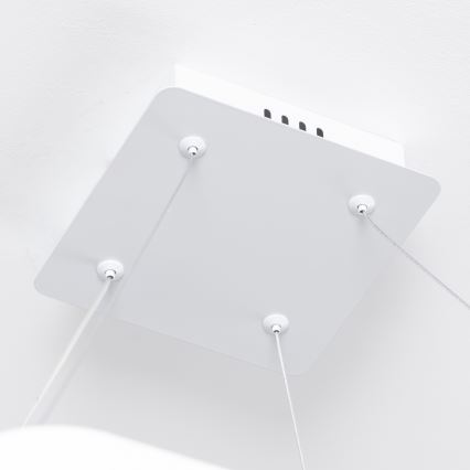 Brilagi - LED lestenec na kablu z možnostjo zatemnitve FALCON SLIM LED/50W/230V 3000-6500K 50x50 cm bela + daljinski upravljalnik