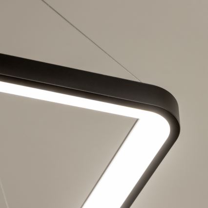 Brilagi - Zatemljiv viseči LED lestenec na jekleni vrvici FALCON SLIM LED/50W/230V 3000-6500K 50x50 cm črna + daljinski upravljalnik