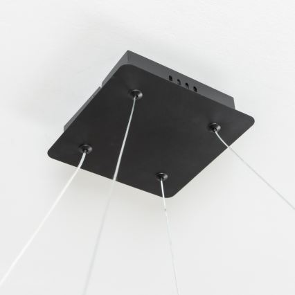 Brilagi - Zatemljiv viseči LED lestenec na jekleni vrvici FALCON SLIM LED/50W/230V 3000-6500K 50x50 cm črna + daljinski upravljalnik