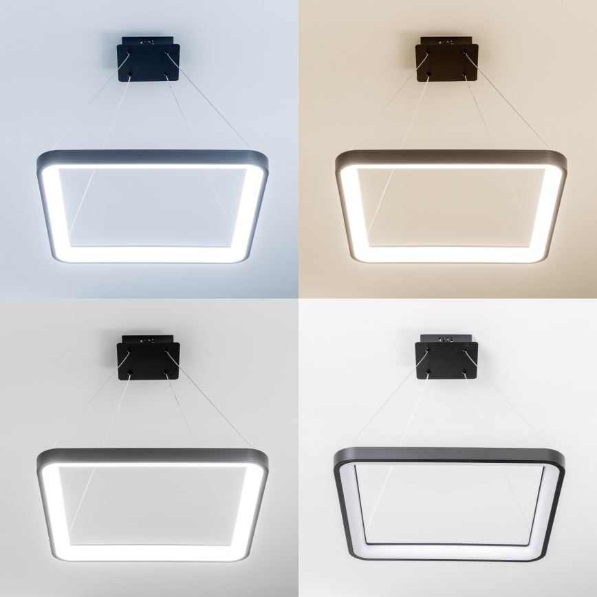 Brilagi - Zatemljiv viseči LED lestenec na jekleni vrvici FALCON SLIM LED/50W/230V 3000-6500K 50x50 cm črna + daljinski upravljalnik