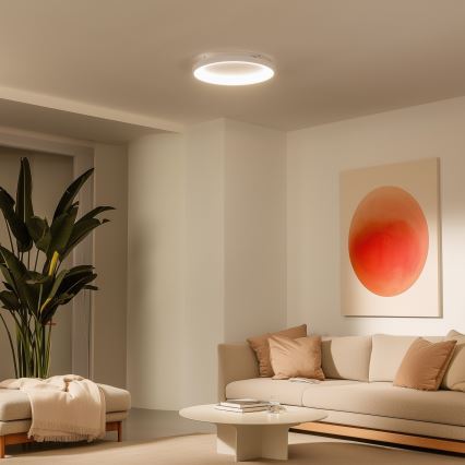 Brilagi - LED stropna svetilka z zatemnjevanjem FALCON SLIM LED/42W/230V 3000-6500K, premer 50 cm, bela + daljinski upravljalnik