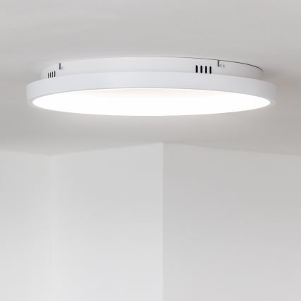 Brilagi - LED stropna svetilka z zatemnjevanjem FALCON SLIM LED/42W/230V 3000-6500K, premer 50 cm, bela + daljinski upravljalnik