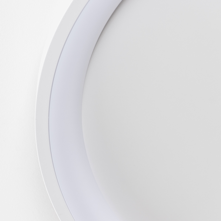 Brilagi - LED stropna svetilka z zatemnjevanjem FALCON SLIM LED/42W/230V 3000-6500K, premer 50 cm, bela + daljinski upravljalnik