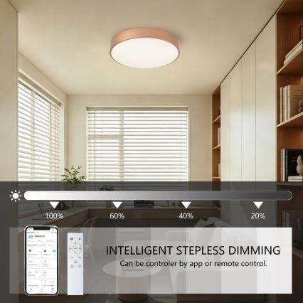 Brilagi - LED stropna svetilka z zatemnjevanjem POOL SMART LED/48W/230V 3000–6000K premer 40 cm Wi-Fi Tuya bronasta + daljinski upravljalnik