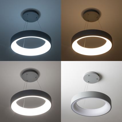 Brilagi - LED zatemnljiv viseči lestenec na kablu FALCON LED/40W/230V 3000-6500K, premer 45 cm, siva + daljinski upravljalnik