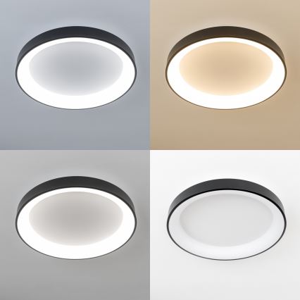 Brilagi - LED Zatemnljivo stropno svetilo FALCON II LED/99W/230V 3000-6500K premer 60 cm črna + daljinski upravljalnik