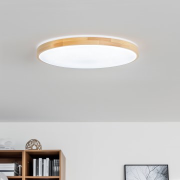 Brilagi - LED zatemnjiva stropna svetilka OPAL LED/24W/230V 37,5x37,5 cm 3000/4000/6500K + daljinski upravljalnik