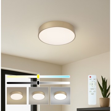 Brilagi - LED Zatemnjiva stropna svetilka POOL LED/36W/230V 3000-6000K, premer 30 cm, zlata + daljinski upravljalnik