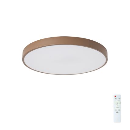 Brilagi - LED zatemnljivo stropno svetilo POOL LED/60W/230V 3000-6000K premer 50 cm rjavo + daljinski upravljalnik
