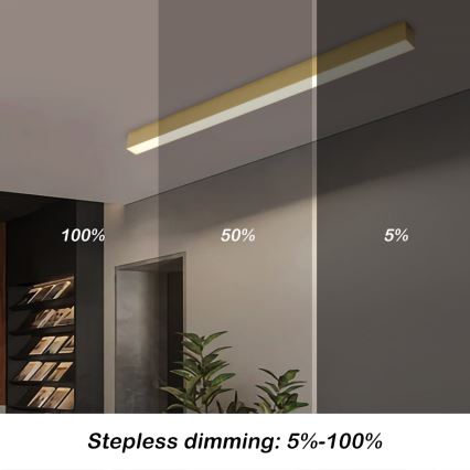 Brilagi - LED stropna svetilka SLEEKLINE SMART z možnostjo zatemnitve LED/40W/230V 3000-6000K Wi-Fi Tuya, zlata + daljinski upravljalnik