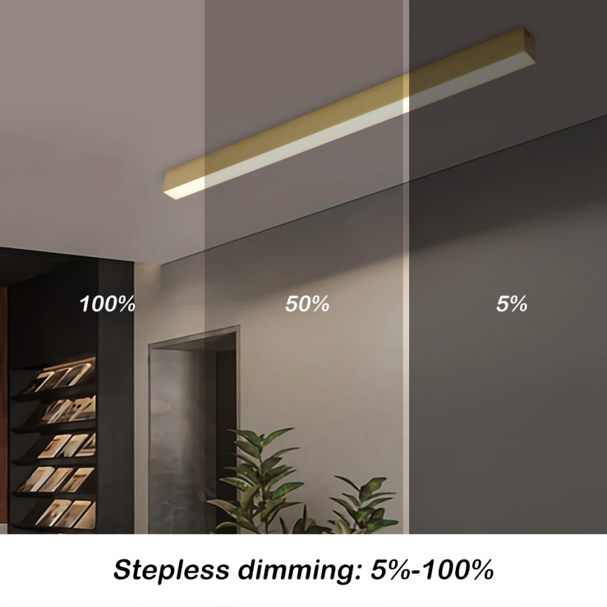 Brilagi - LED stropna svetilka SLEEKLINE SMART z možnostjo zatemnitve LED/40W/230V 3000-6000K Wi-Fi Tuya, zlata + daljinski upravljalnik