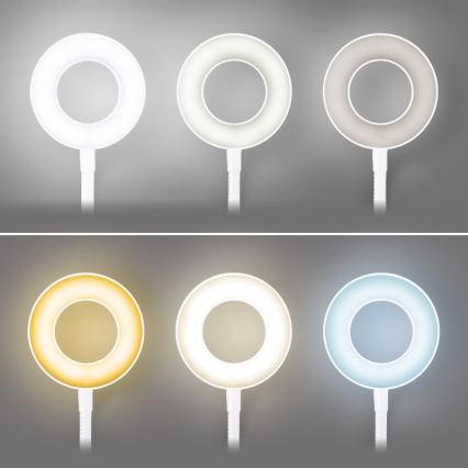 Brilagi - LED zatemnjiva svetilka s sponko ORBELA LED/8W/5V 3000/4000/5000K bela