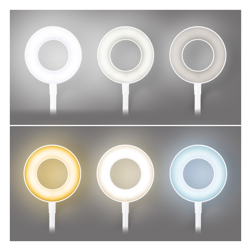 Brilagi - LED zatemnjiva svetilka s sponko ORBELA LED/8W/5V 3000/4000/5000K bela