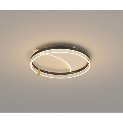 Brilagi - Zatemnljivo LED stropno svetilo SIRELI LED/47W/230V 3000-6000K, premer 40 cm + daljinski upravljalnik