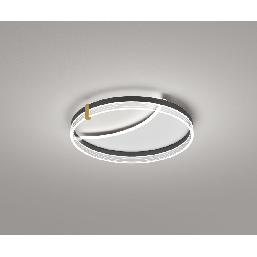Brilagi - Zatemnljivo LED stropno svetilo SIRELI LED/47W/230V 3000-6000K, premer 40 cm + daljinski upravljalnik
